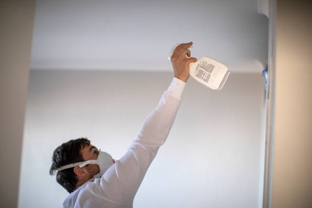 Best Mold Cleaning Services  in Hooverson Heights, WV