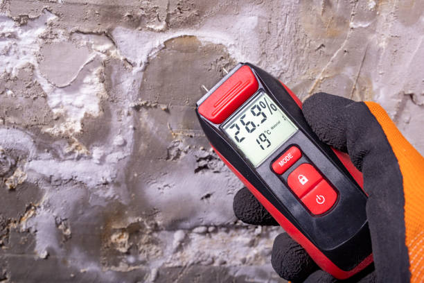 Hooverson Heights, WV Mold Removal Company