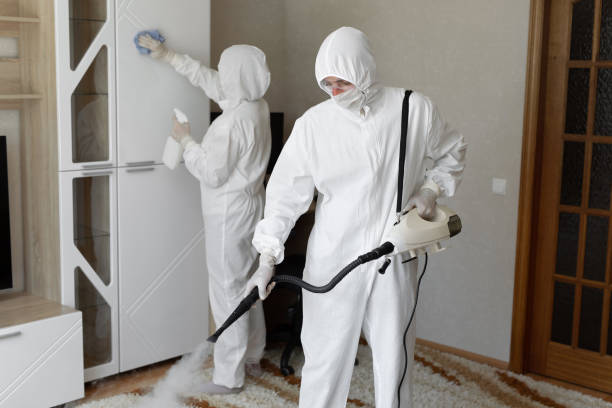 Best Mold Damage Repair  in Hooverson Heights, WV